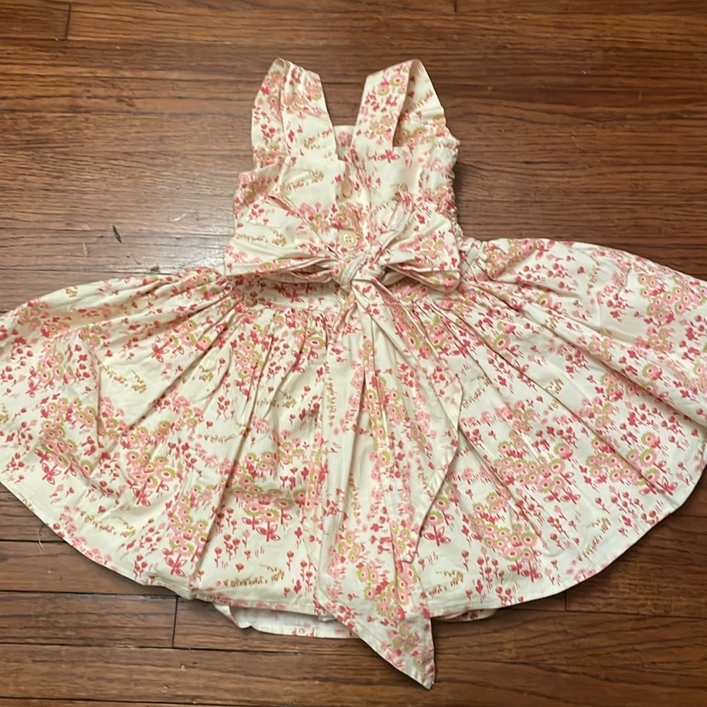 persnickety dress size 3T       ( bag3/4)